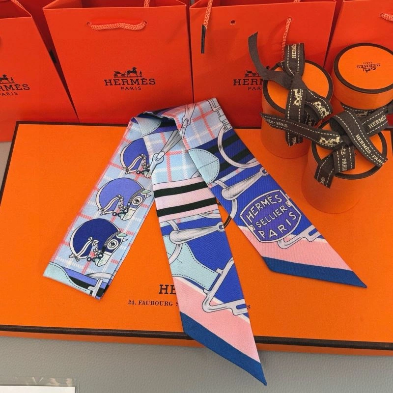 Hermes Silk TechFriendly 272079