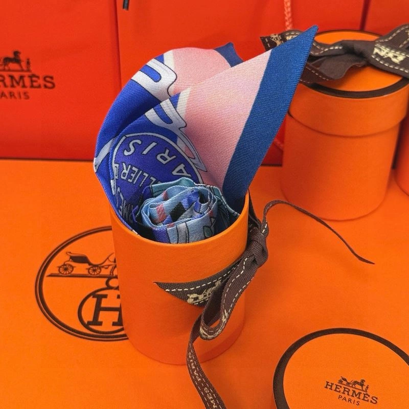 Hermes Silk TechFriendly 272079