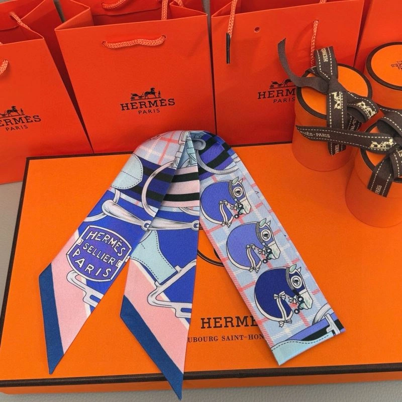 Hermes Silk TechFriendly 272079