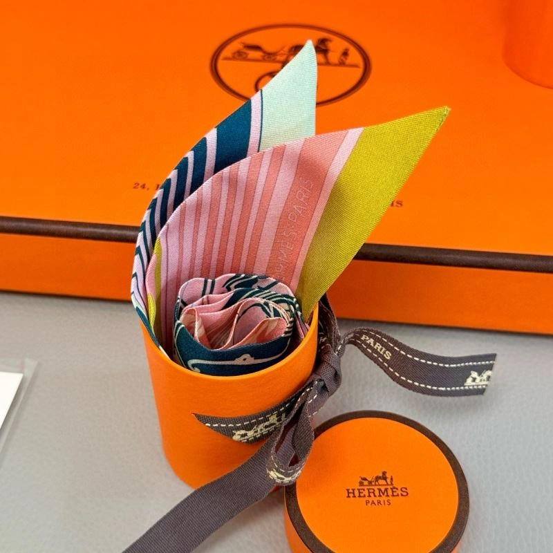 Hermes Silk GoAnywhere 272067