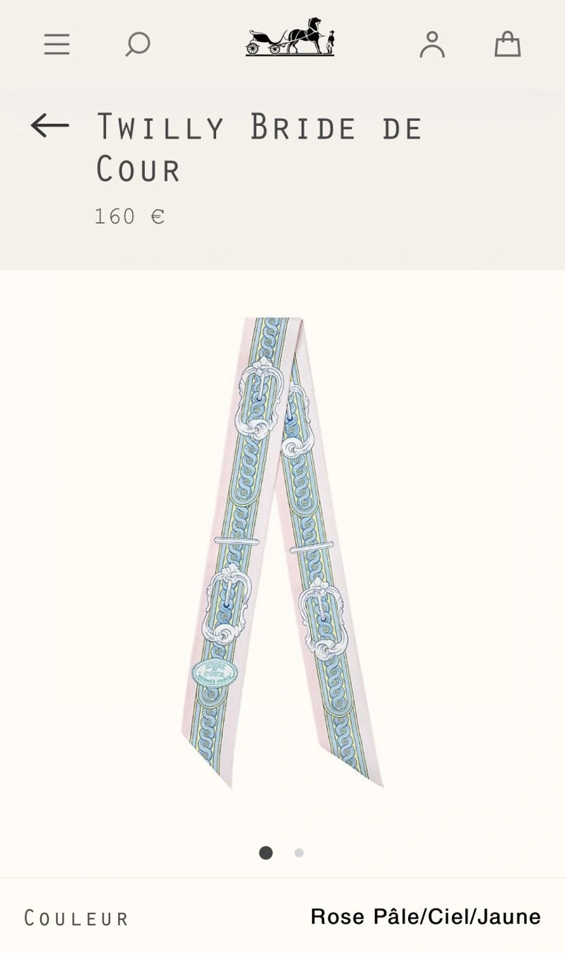 Hermes Silk UrbanChic 272499