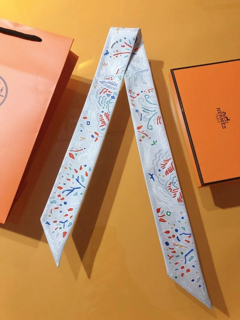 Hermes Silk Practical 272522