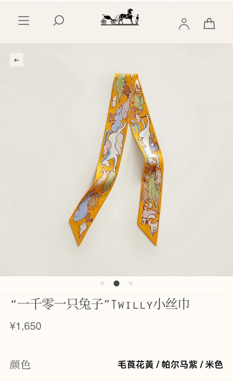 Hermes Silk WellDesigned 272476