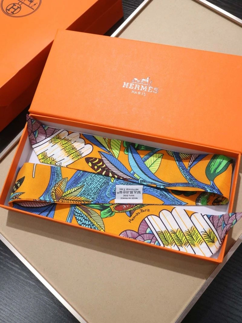 Packable Hermes Silk 272894