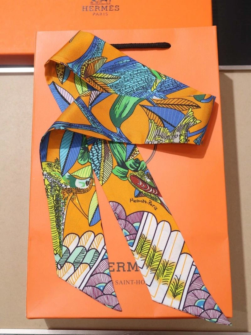 Packable Hermes Silk 272894