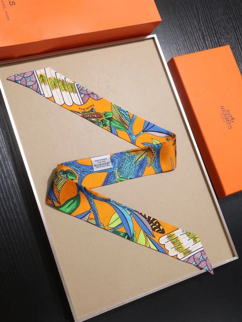 Packable Hermes Silk 272894