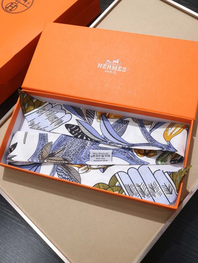 Hermes Silk Soft 272893