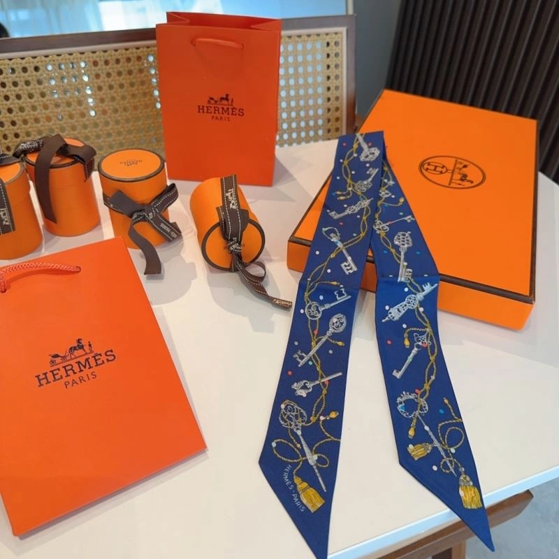WellDesigned Hermes Silk 272876