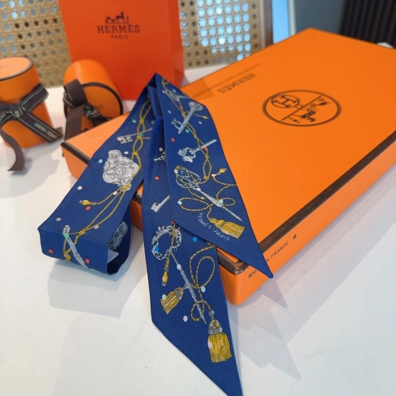 WellDesigned Hermes Silk 272876