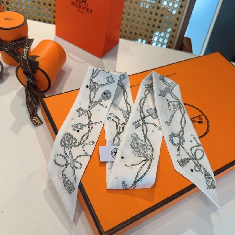 Efficient Hermes Silk 272875