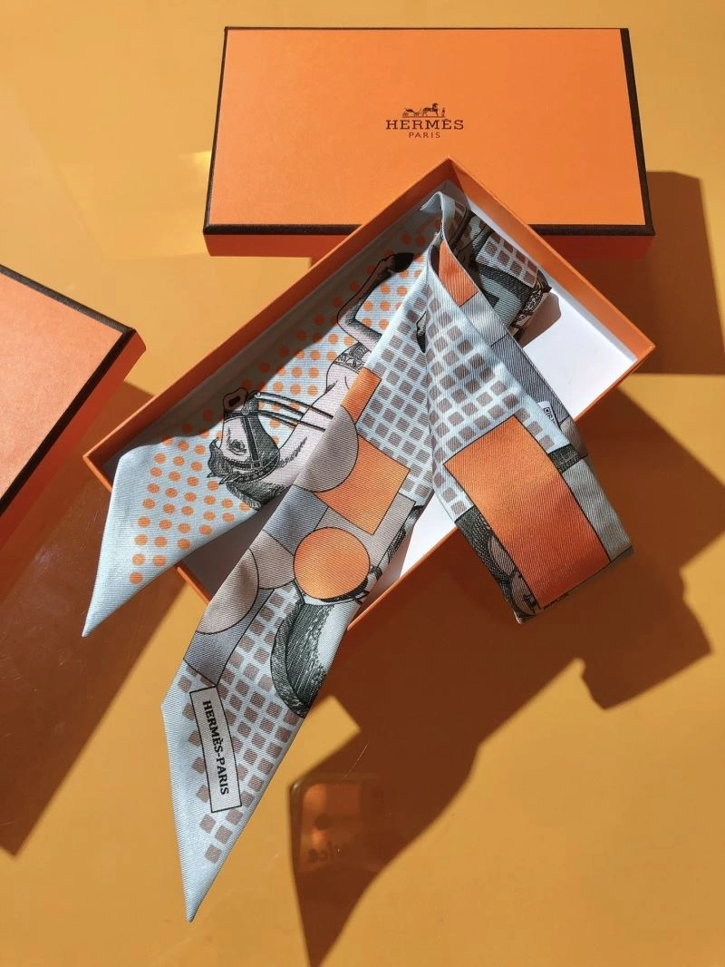 Hermes Silk TechFriendly 272863