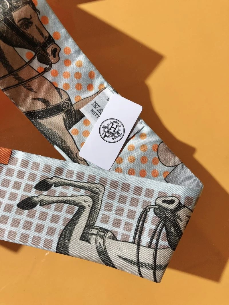 Hermes Silk TechFriendly 272863