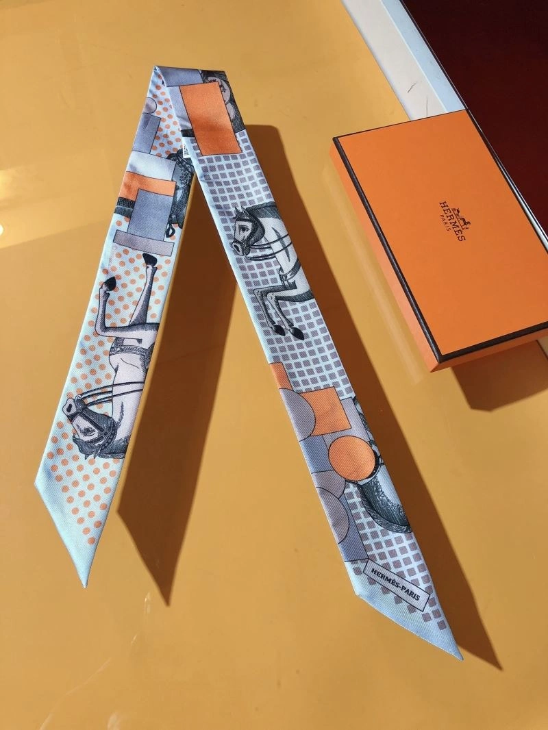Hermes Silk TechFriendly 272863