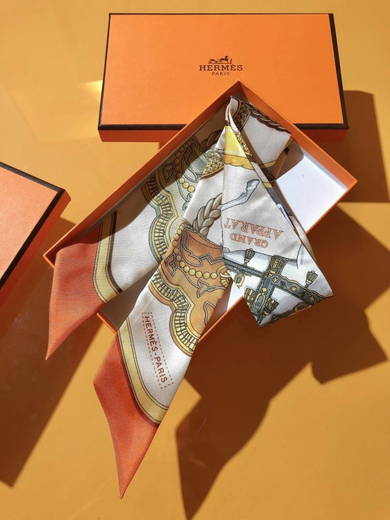 Hermes Silk Premium 272861