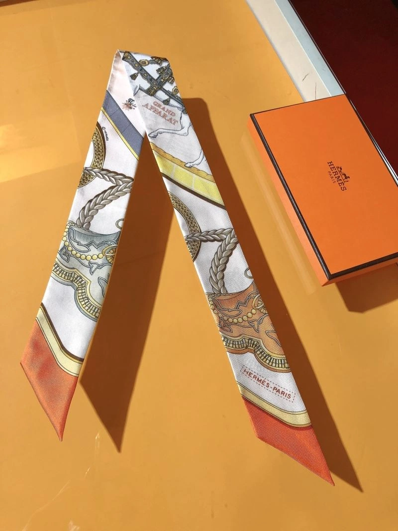 Hermes Silk Premium 272861