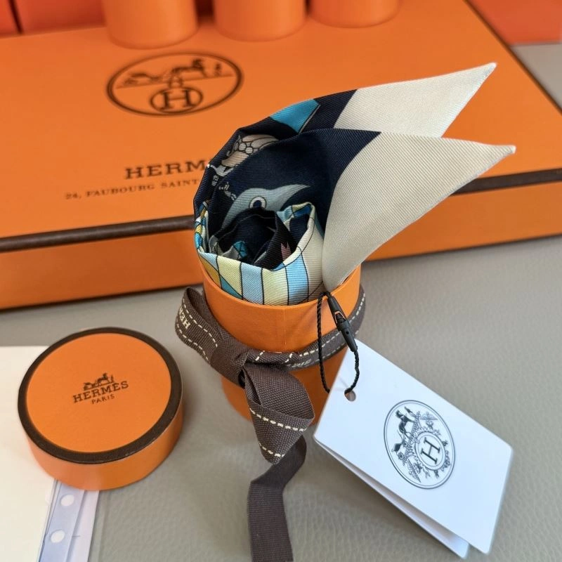 Hermes Silk Cozy 272859