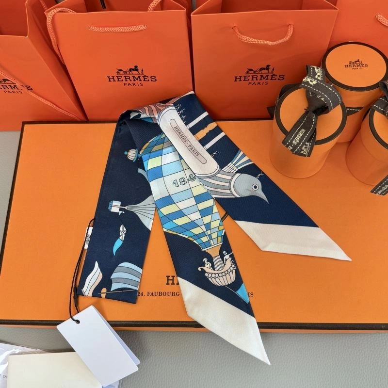 Hermes Silk Cozy 272859