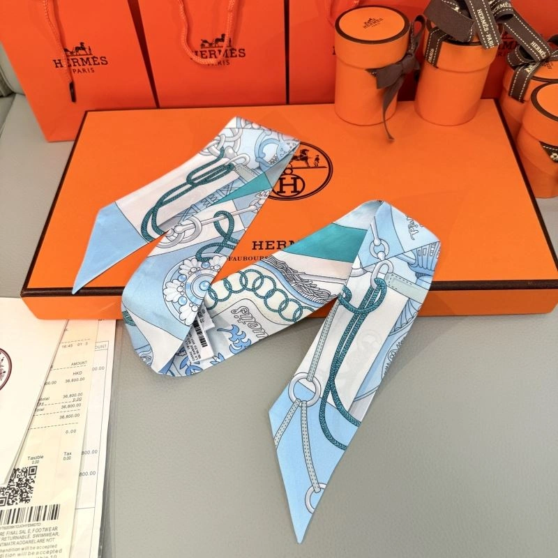 Supportive Hermes Silk 272862