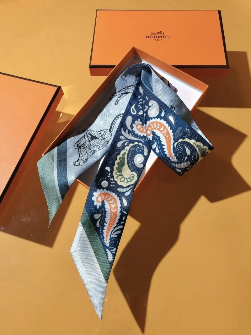Hermes Silk Versatile 272824