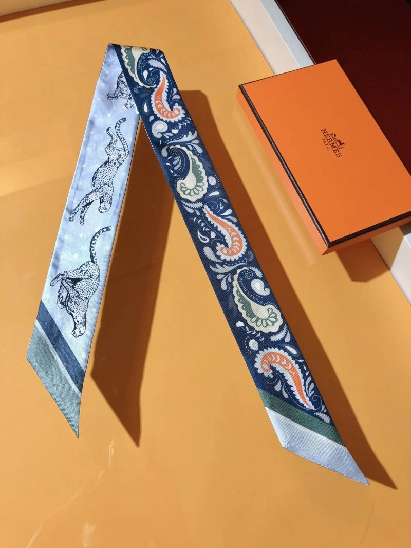 Hermes Silk Versatile 272824