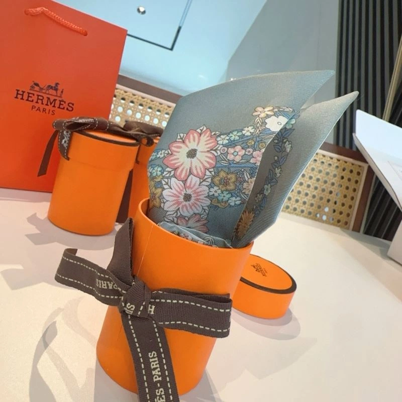 Hermes Silk WeatherProof 272831