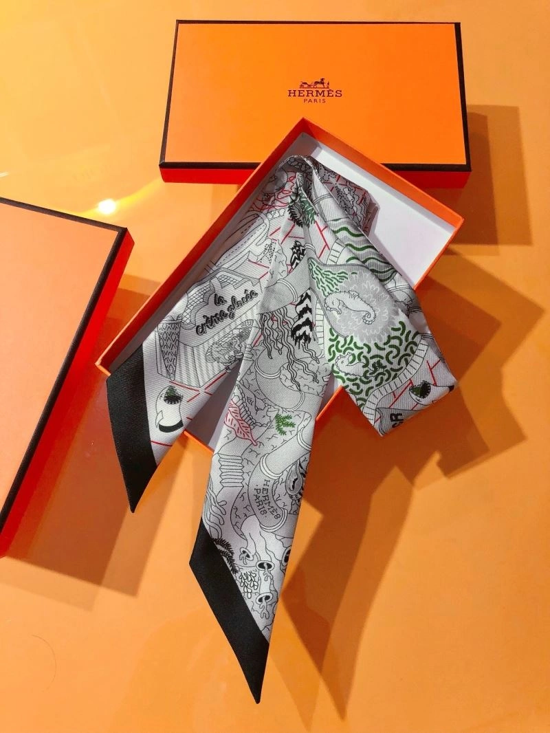 Hermes Silk Sustainable 272822