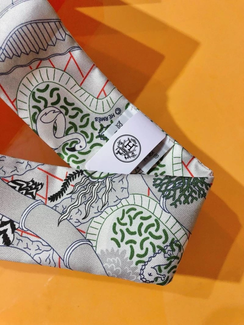 Hermes Silk Sustainable 272822