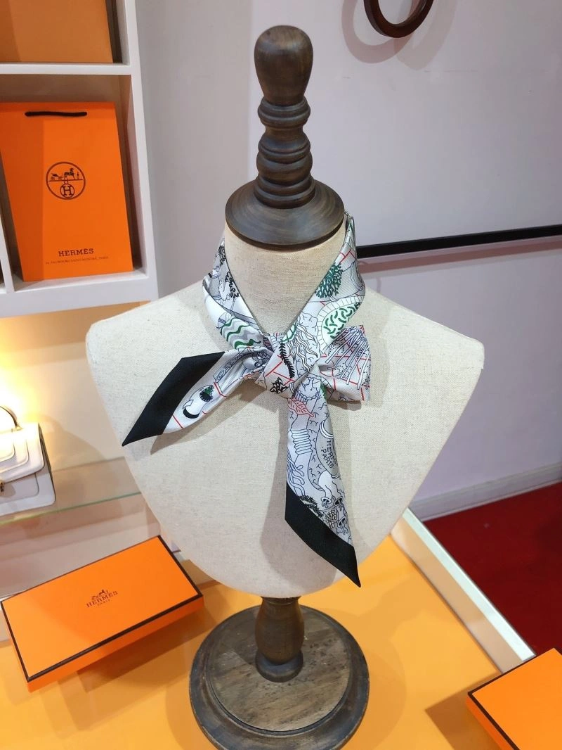 Hermes Silk Sustainable 272822