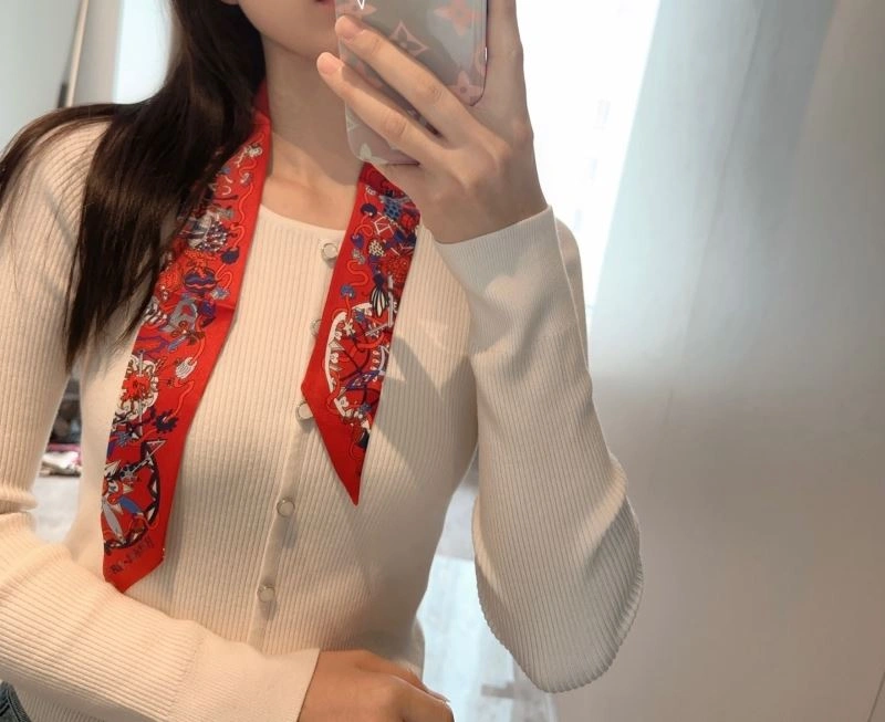 Hermes Silk Snug 272807