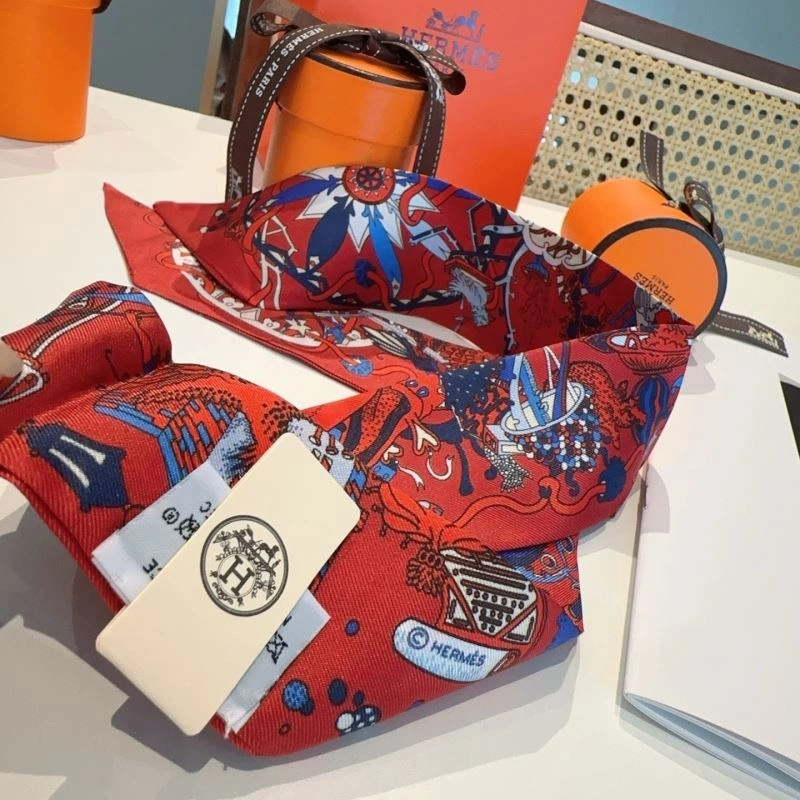 Hermes Silk Snug 272807