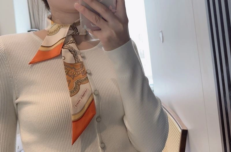 Hermes Silk EasyCare 272763