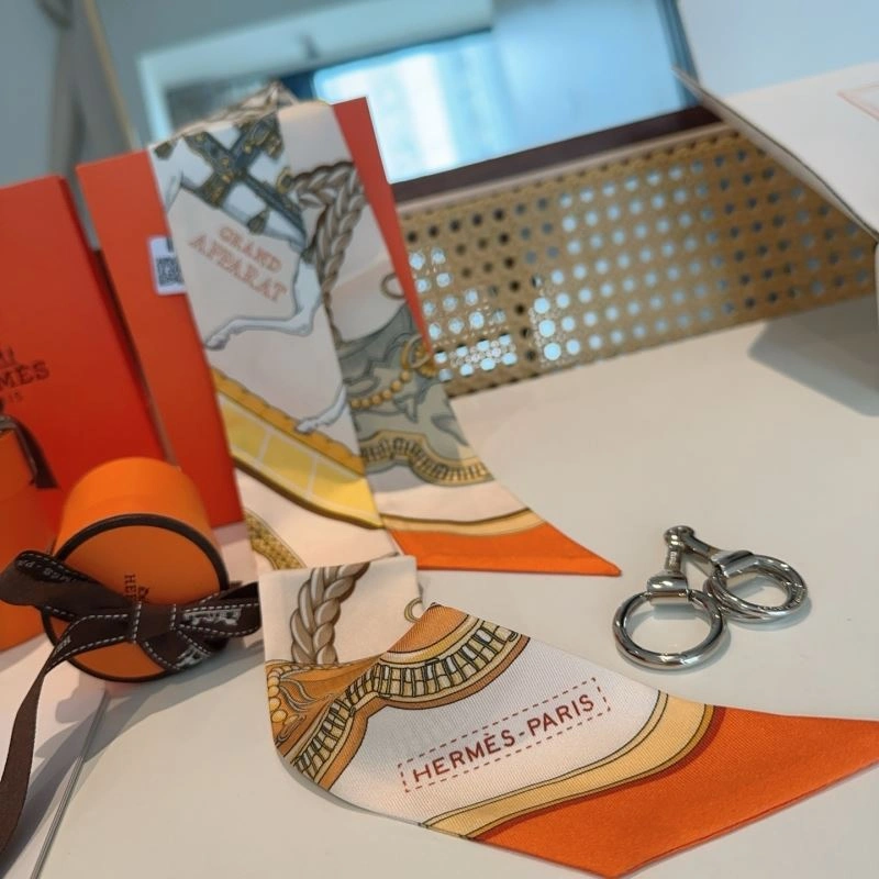 Hermes Silk EasyCare 272763
