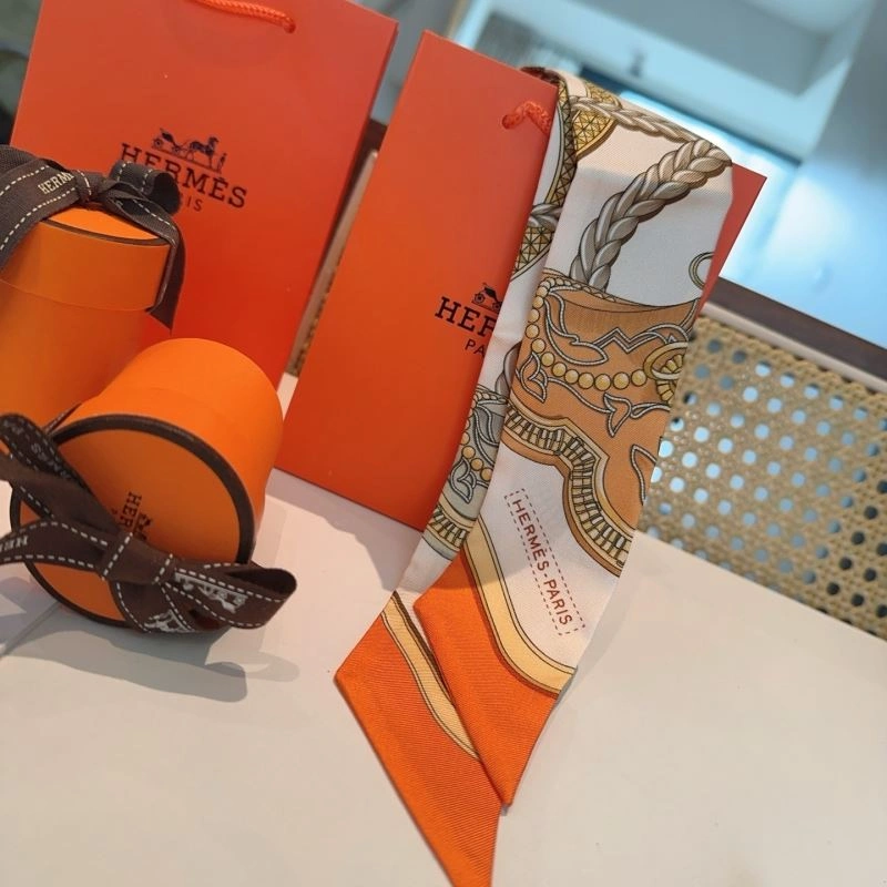 Hermes Silk EasyCare 272763