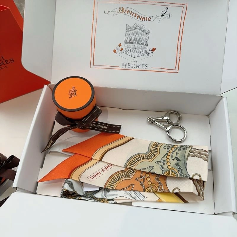 Hermes Silk EasyCare 272763