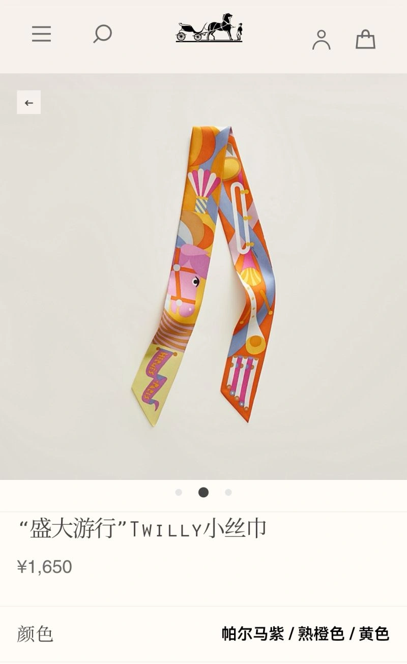 Hermes Silk Packable 272740