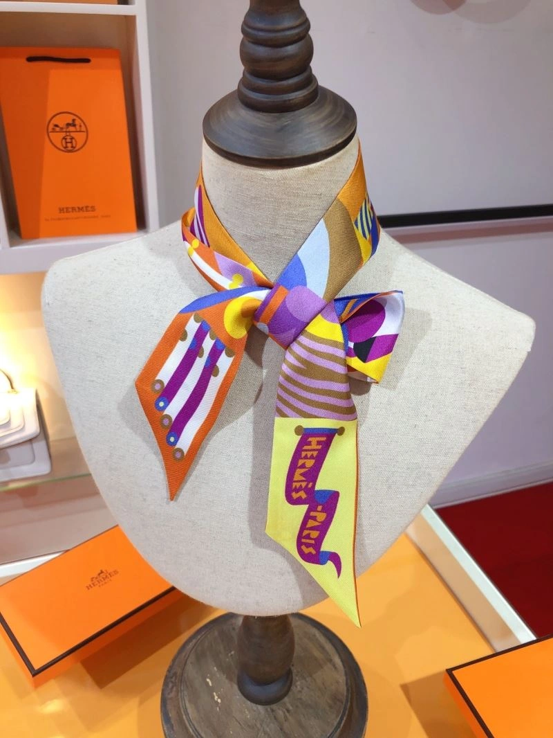 Hermes Silk Packable 272740