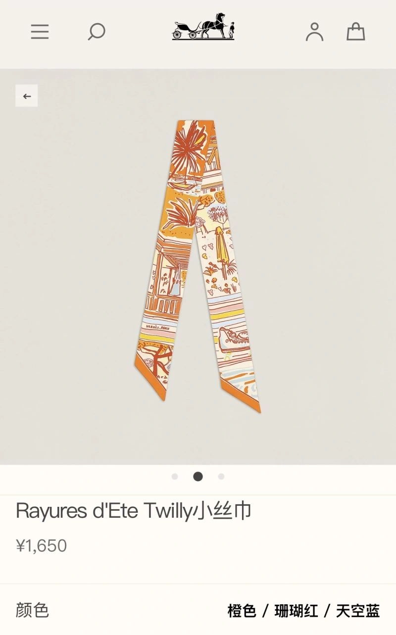 Hermes Silk EyeCatching 272713