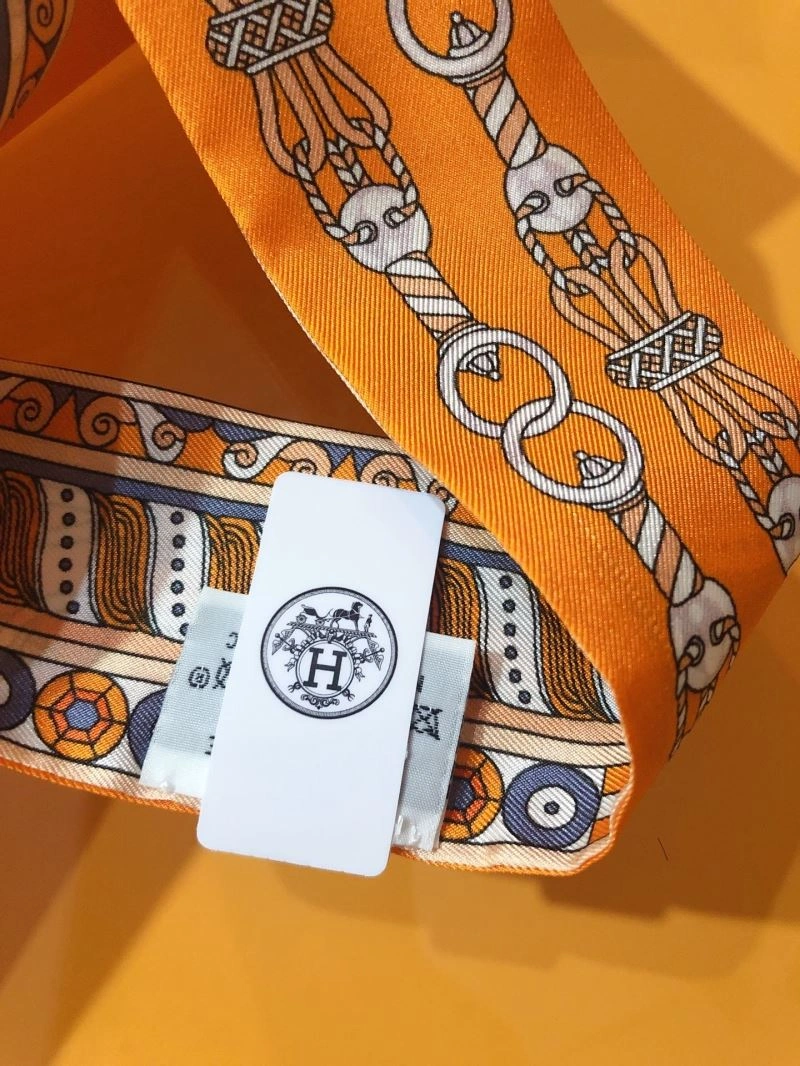 Hermes Silk MultiPurpose 272710