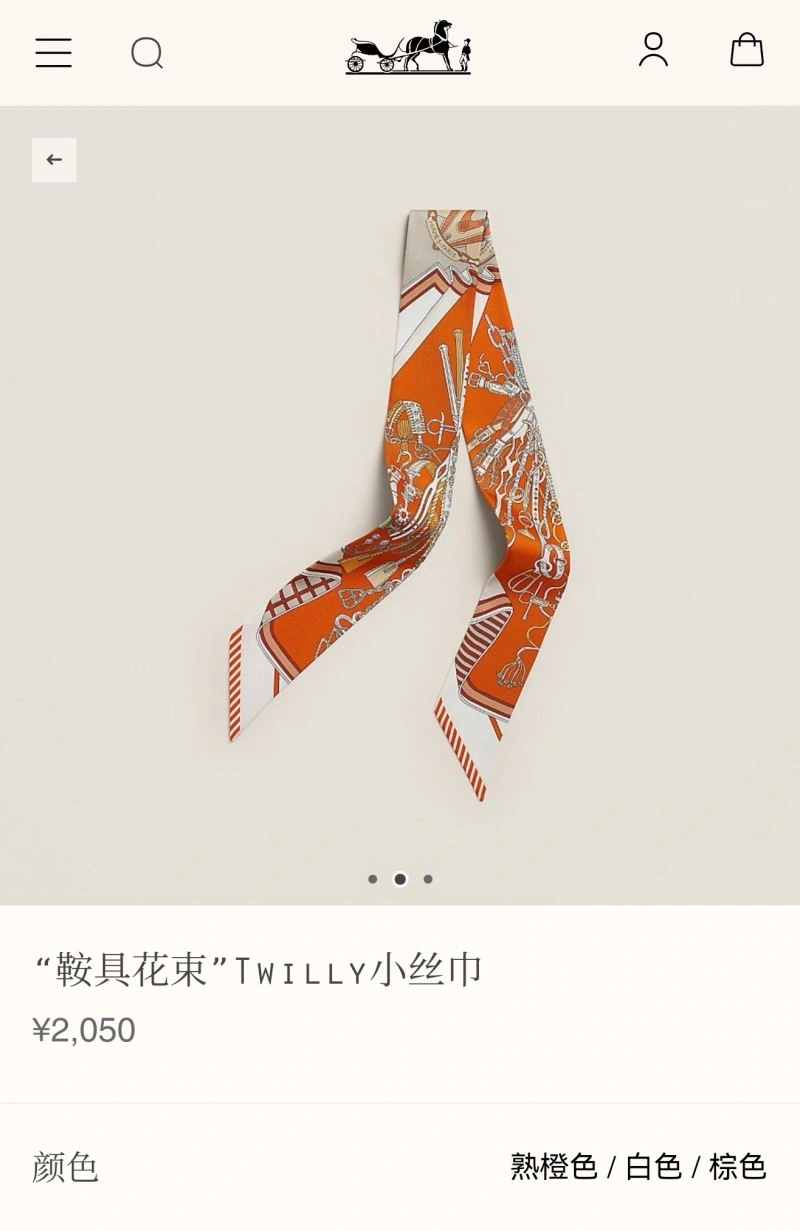 Bright Hermes Silk 272696