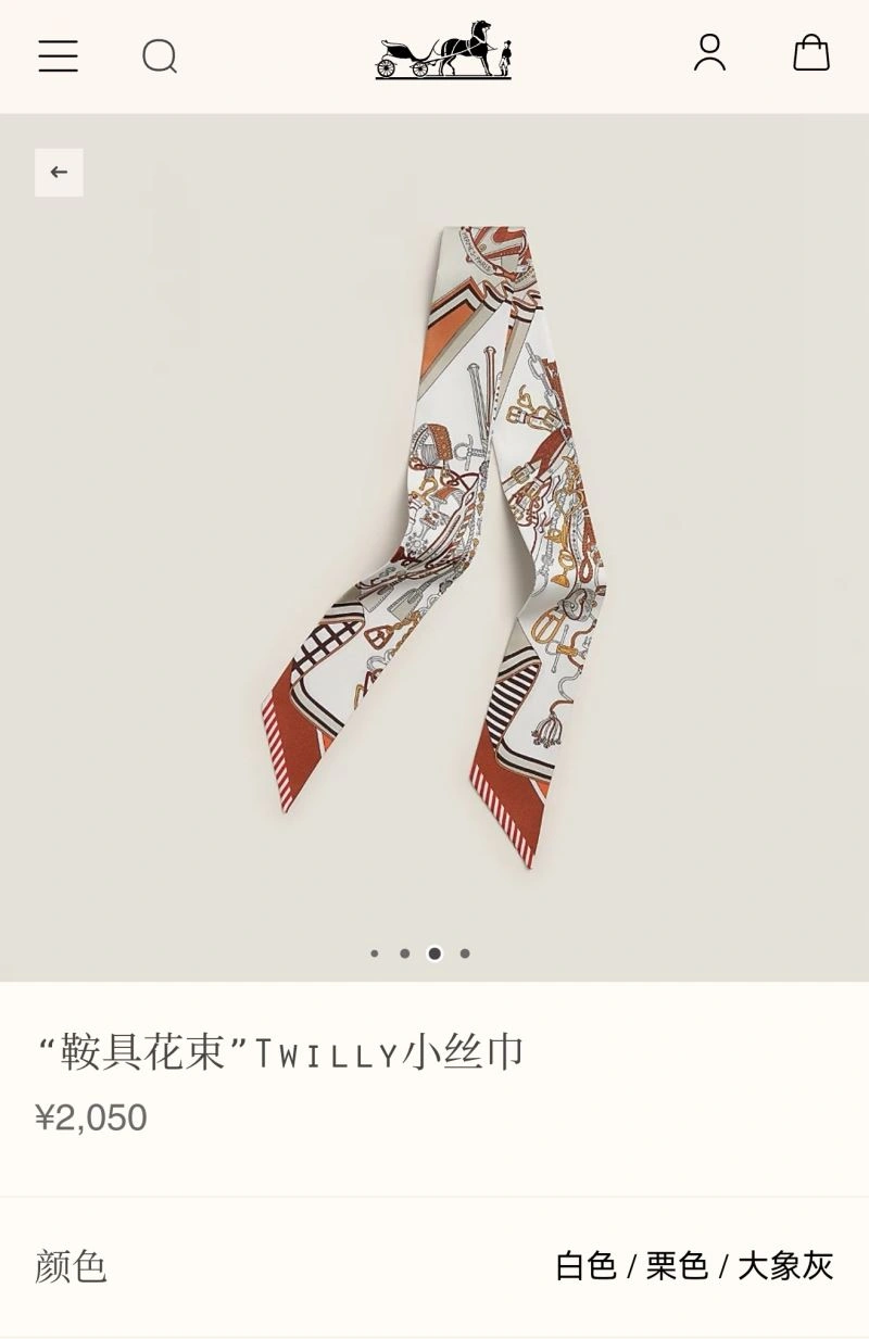Hermes Silk Stretchable 272693