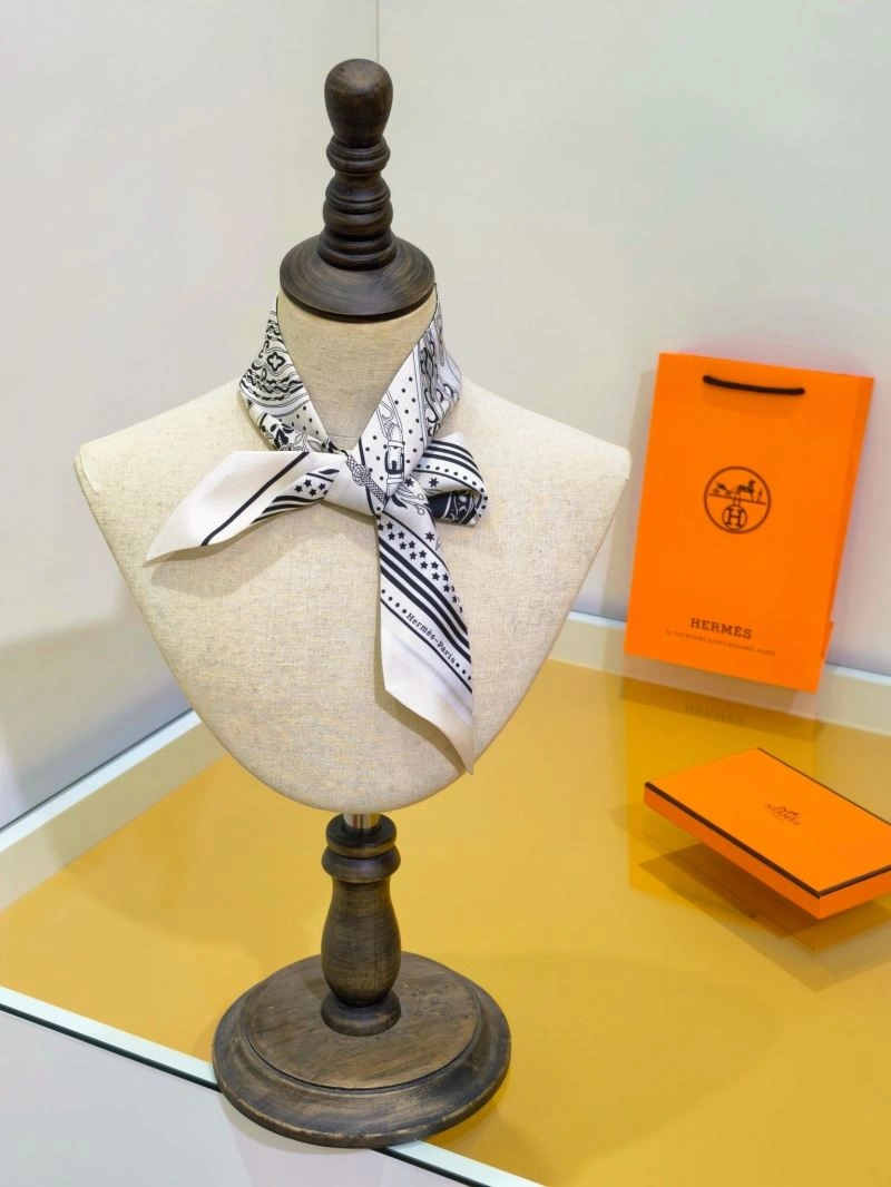 Hermes Silk Reliable 272684