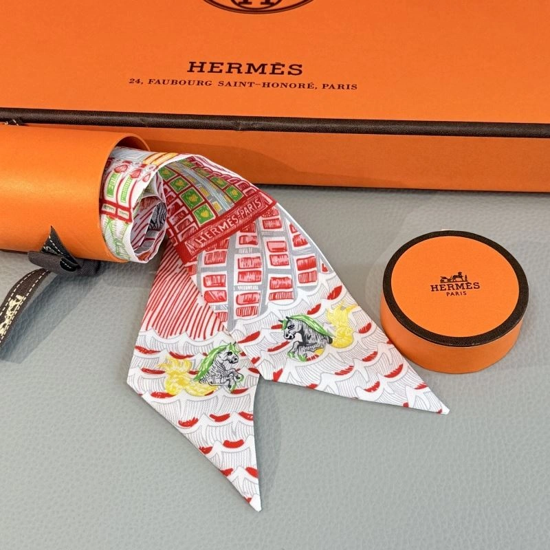 Hermes Silk Colorful 272673