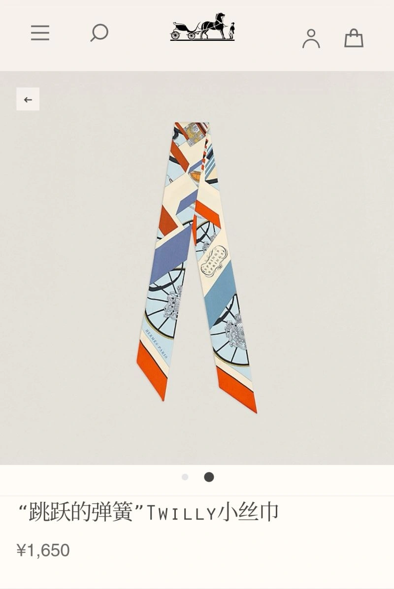 Fashionable Hermes Silk 272685