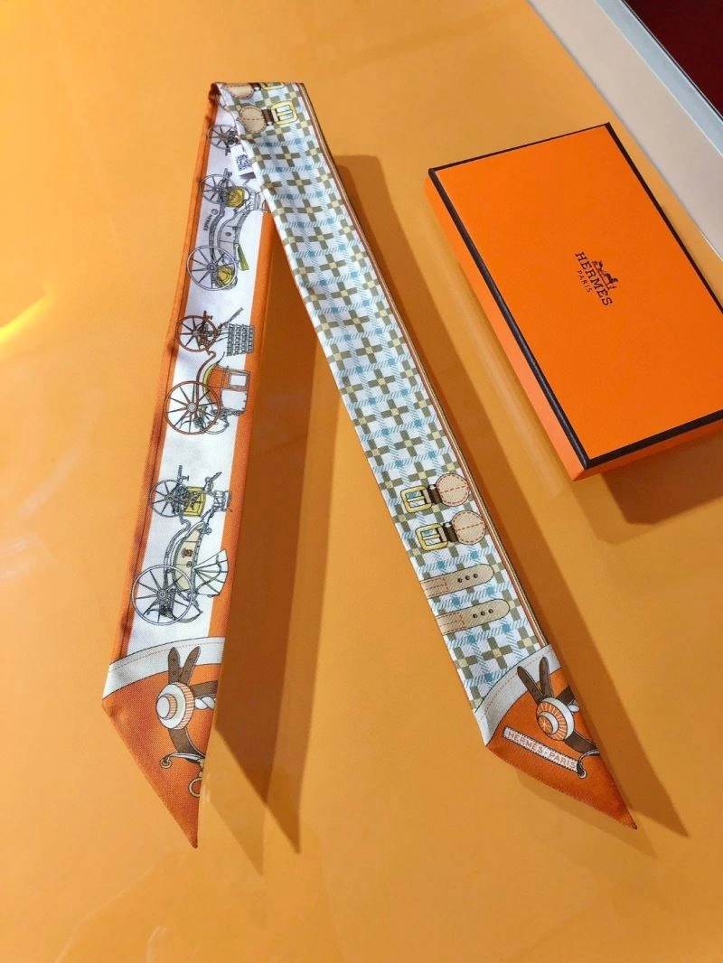Packable Hermes Silk 272659