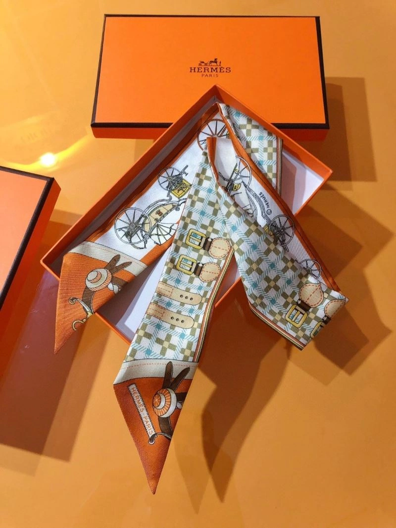 Packable Hermes Silk 272659