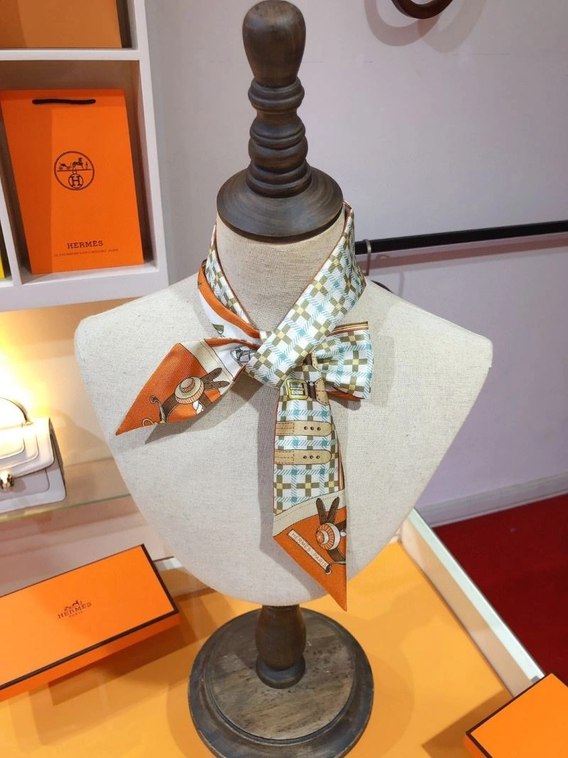 Packable Hermes Silk 272659