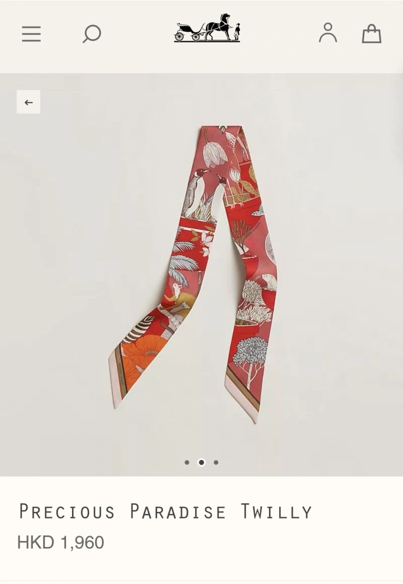 Hermes Silk DailyWear 272651