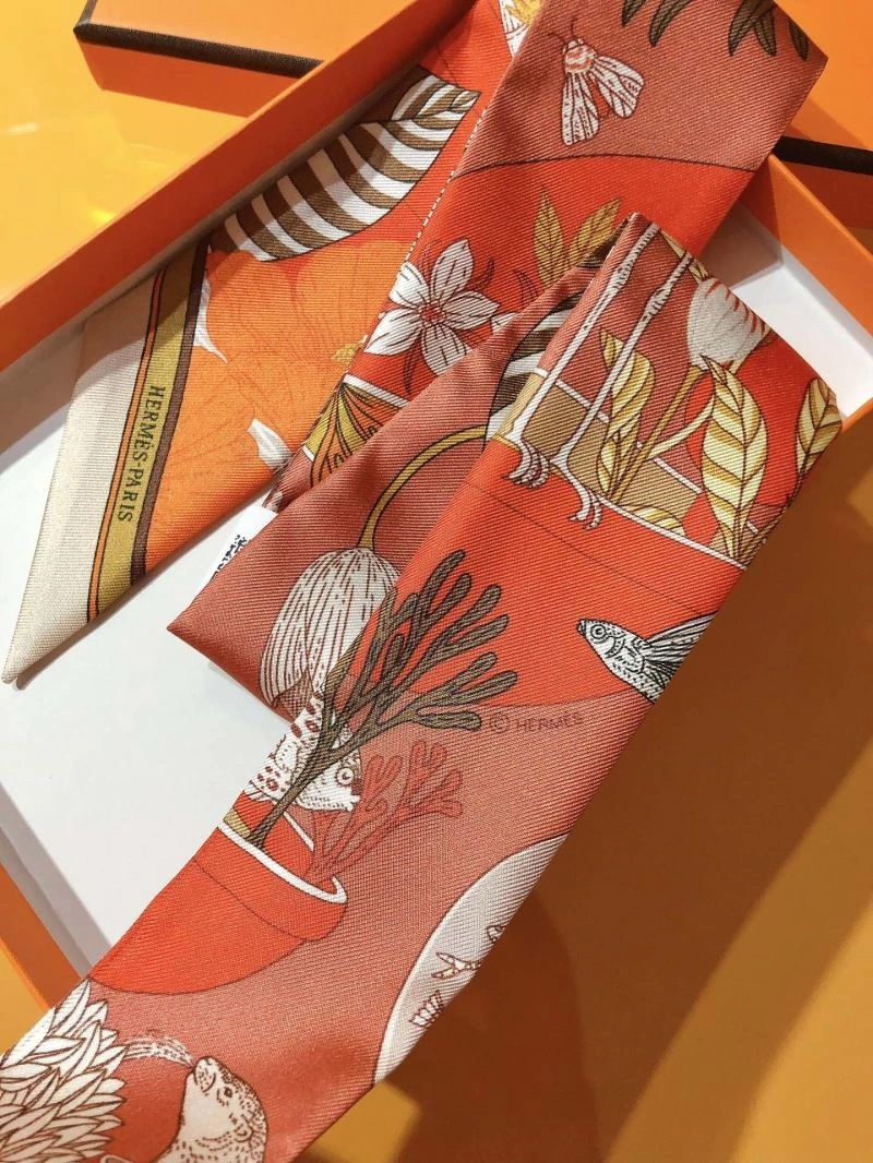 Hermes Silk DailyWear 272651