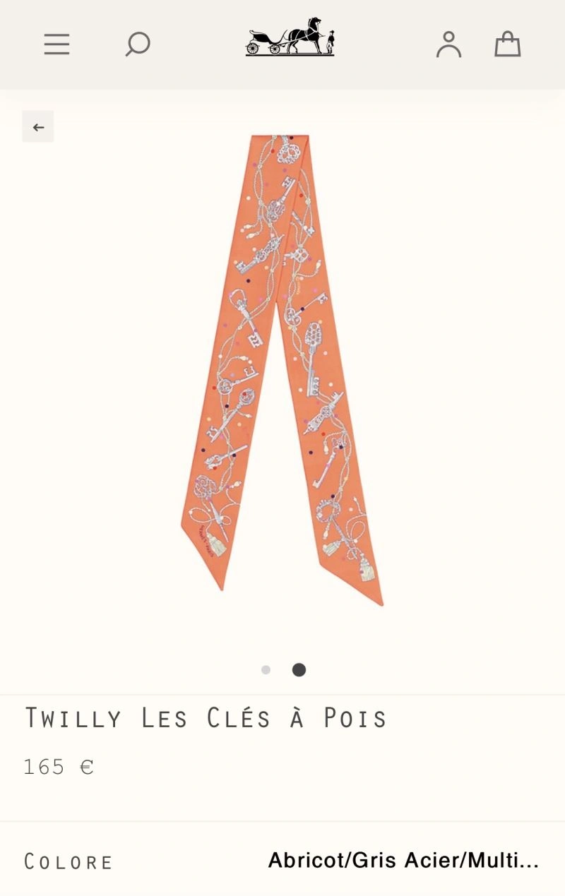 Durable Hermes Silk 272647