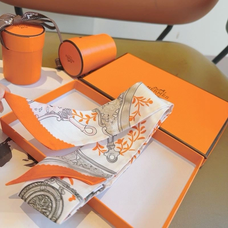 Neat Hermes Silk 272617